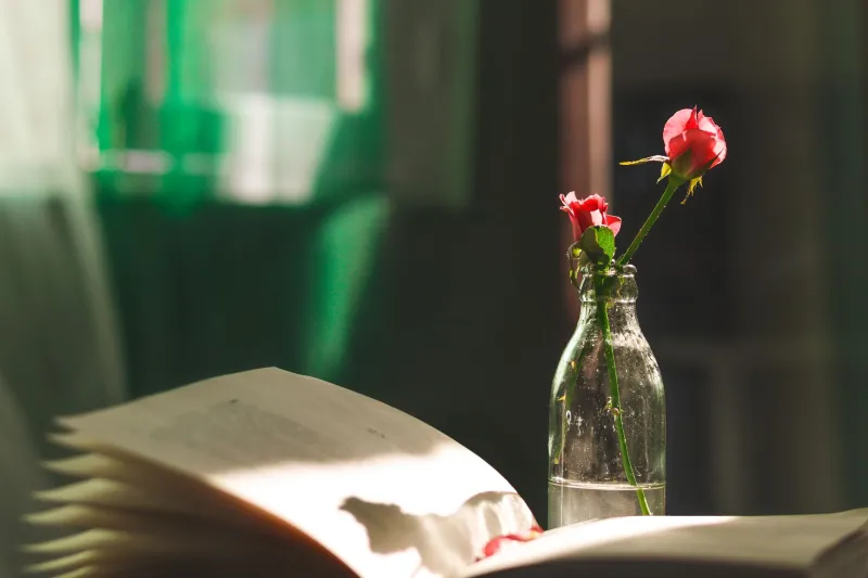 The Kindness of Difficult Books: How a New Generation of Experimental Authors Is Writing Space to Breathe