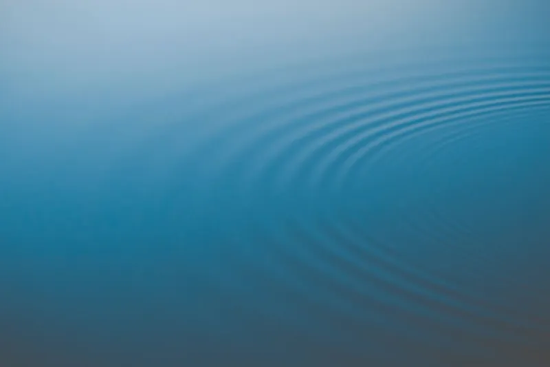 Caught in the Current: How Loop-Based Narratives Dissolve the Boundary Between Reading and Trance
